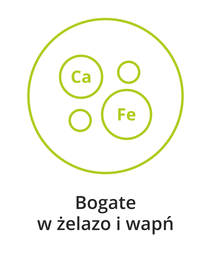 owady są bogate w wapń i żelazo