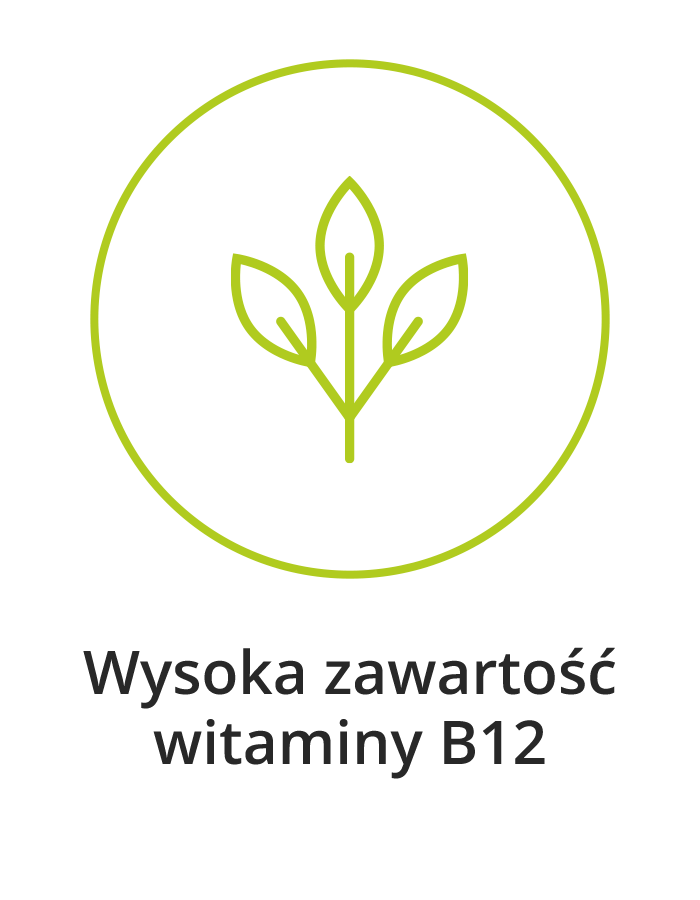 owady są bogate w witaminę b12